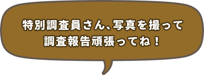 よぉし。特別調査員さん！頑張ろう！